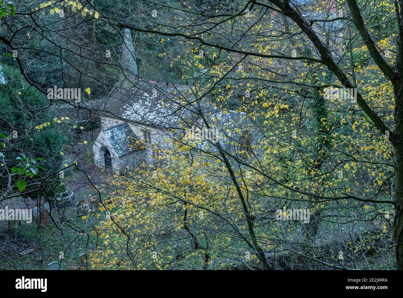 St.-Beuno-Kirche in Culbone, die kleinste Pfarrkirche in England, mit herbstlicher Wych Elm. Auf Exmoor, West Somerset. Stockfoto