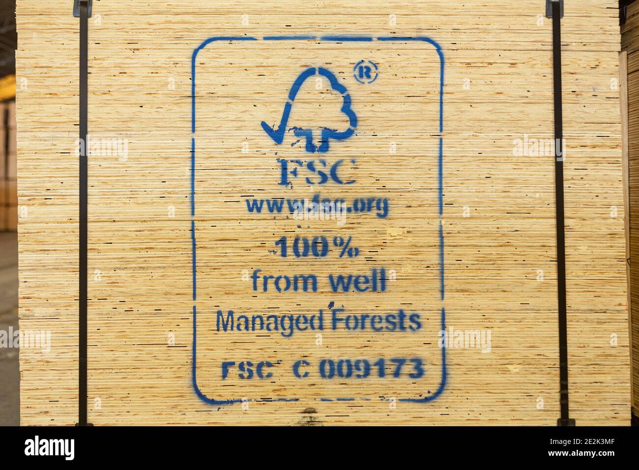 Nahaufnahme des FSC-Logo-Stempels des Forest Stewardship Council in Sperrholzplatten für den Export. Konzept von Holz, Umwelt, Erhaltung, nachhaltig, Holz. Stockfoto