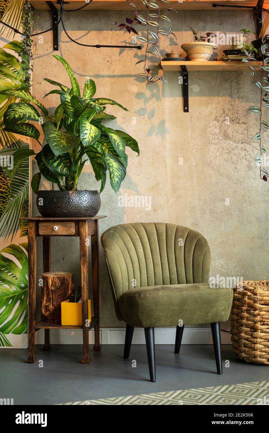 Viele Hauspflanzen in einem Vintage inspirierten Interieur mit einer Betonwand und Grün mit gelben Akzenten. Warme Töne schaffen eine gemütliche eklektische vintage styked Stockfoto