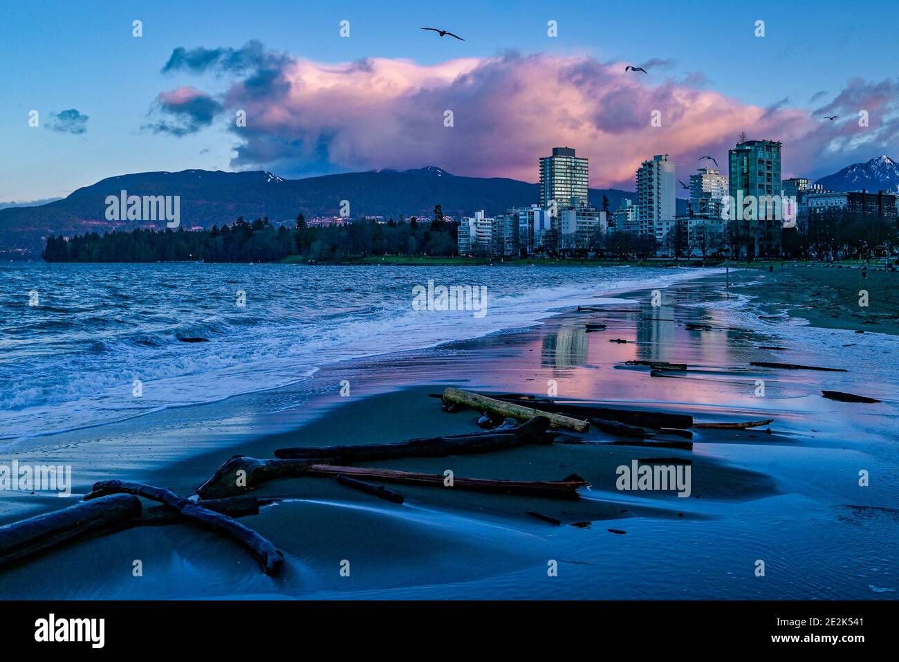 Log, Schutt am Strand, Morgendämmerung, English Bay, Vancouver, British Columbia, Kanada Stockfoto