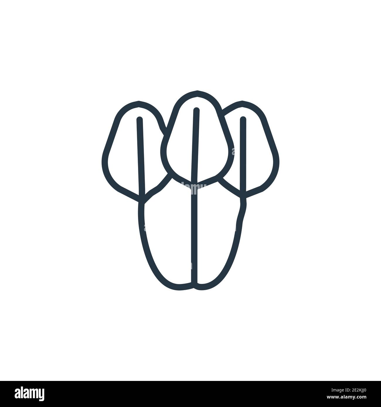 Vektorsymbol Fur Spinat Umrisse Dunne Linie Schwarz Spinat Symbol Flache Vektor Einfache Element Illustration Aus Editierbaren Obst Und Gemuse Konzept Zu Isolieren Stock Vektorgrafik Alamy