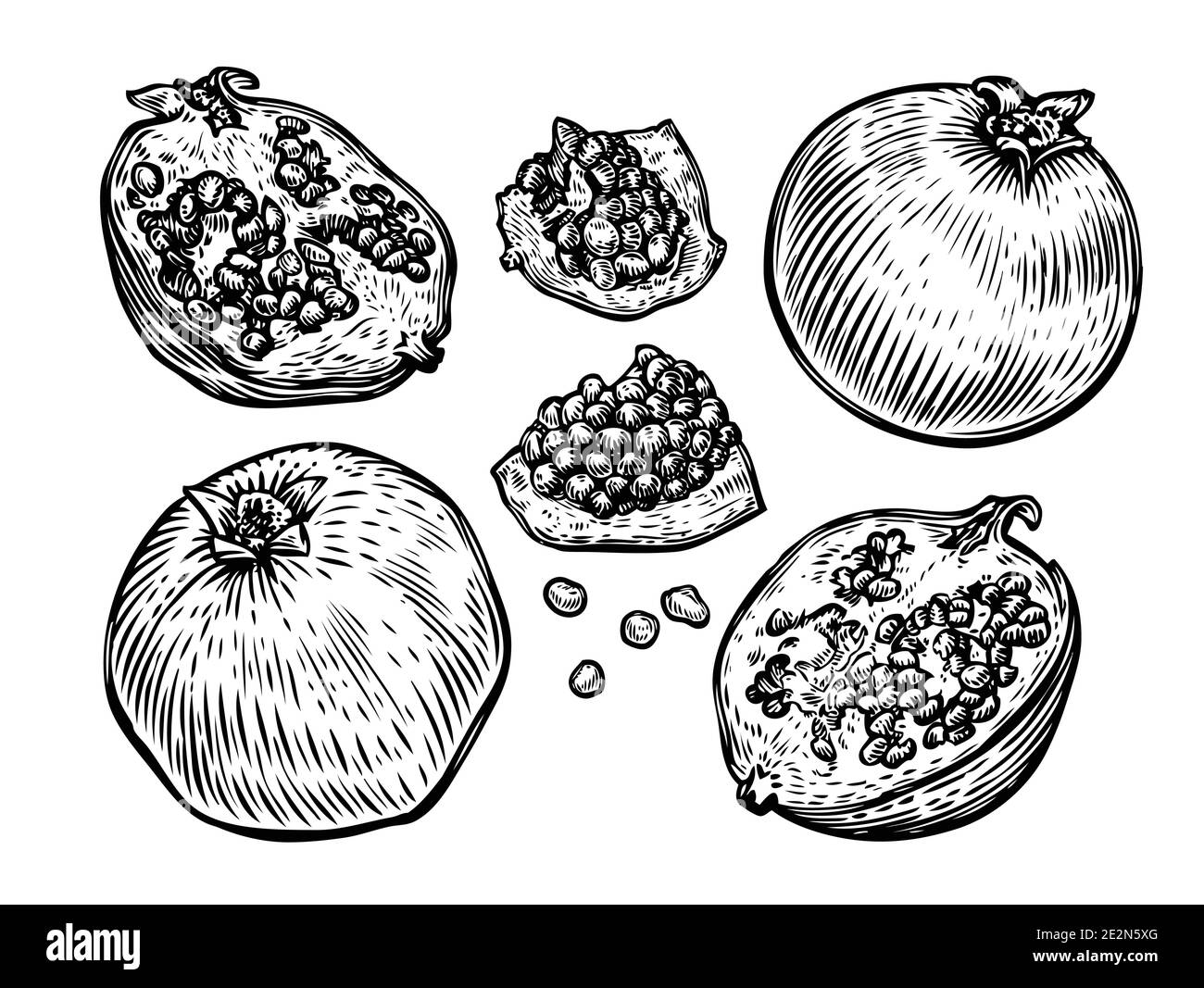 Granatapfelfrucht-Set. Vektorgrafik Lebensmittelskizze Stock Vektor