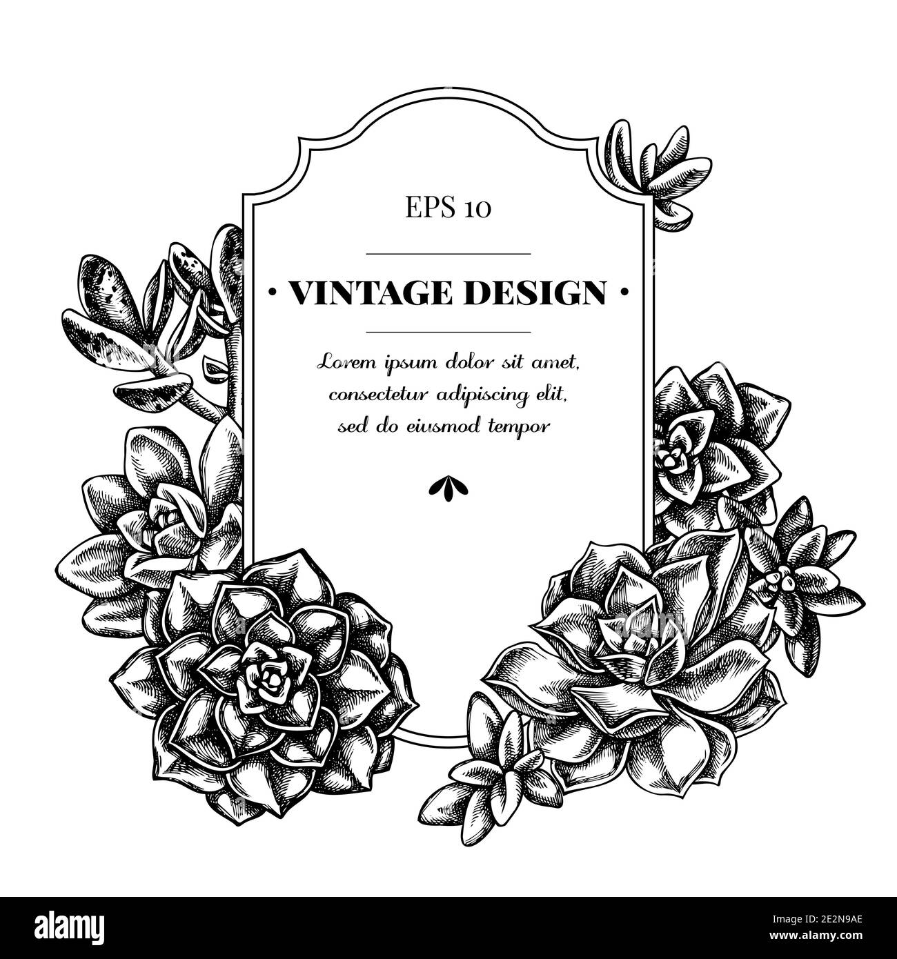 Badge Design mit schwarz-weiß saftig echeveria, saftig echeveria, saftig Stock Vektor