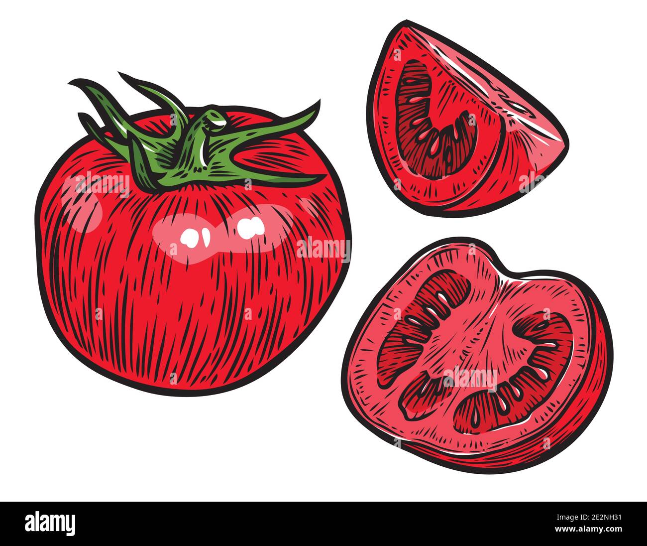 Tomate isoliert auf weißem Hintergrund. Vektor Gemüse Stock Vektor