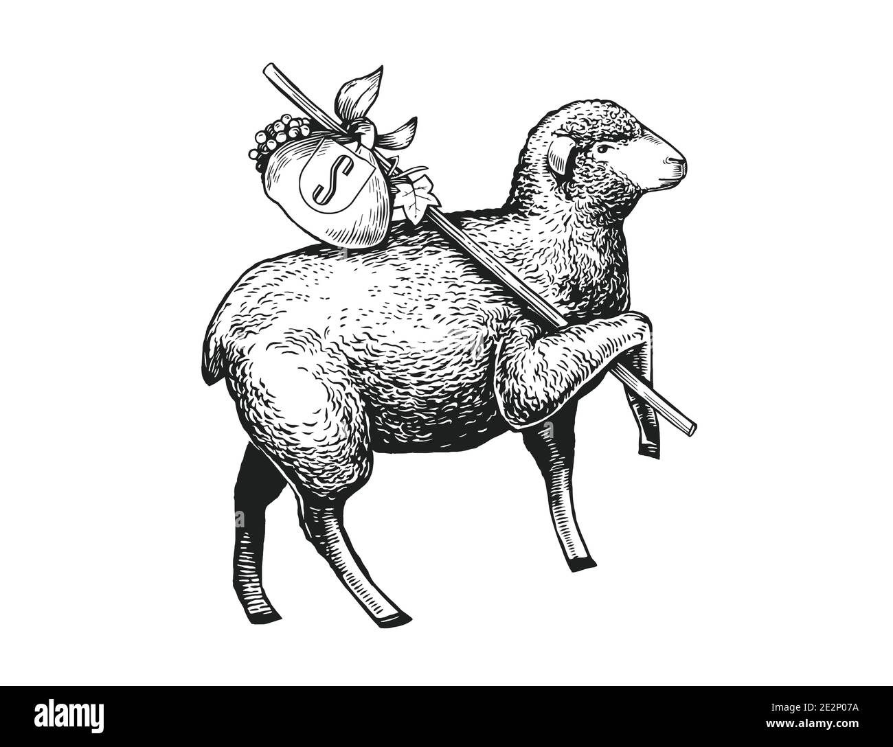 Illustration des Schafes. Handgezeichnet in einem grafischen Stil. Vintage Vektor Farbe Gravur Illustration für Poster, Paket, isoliert auf weiß Stock Vektor