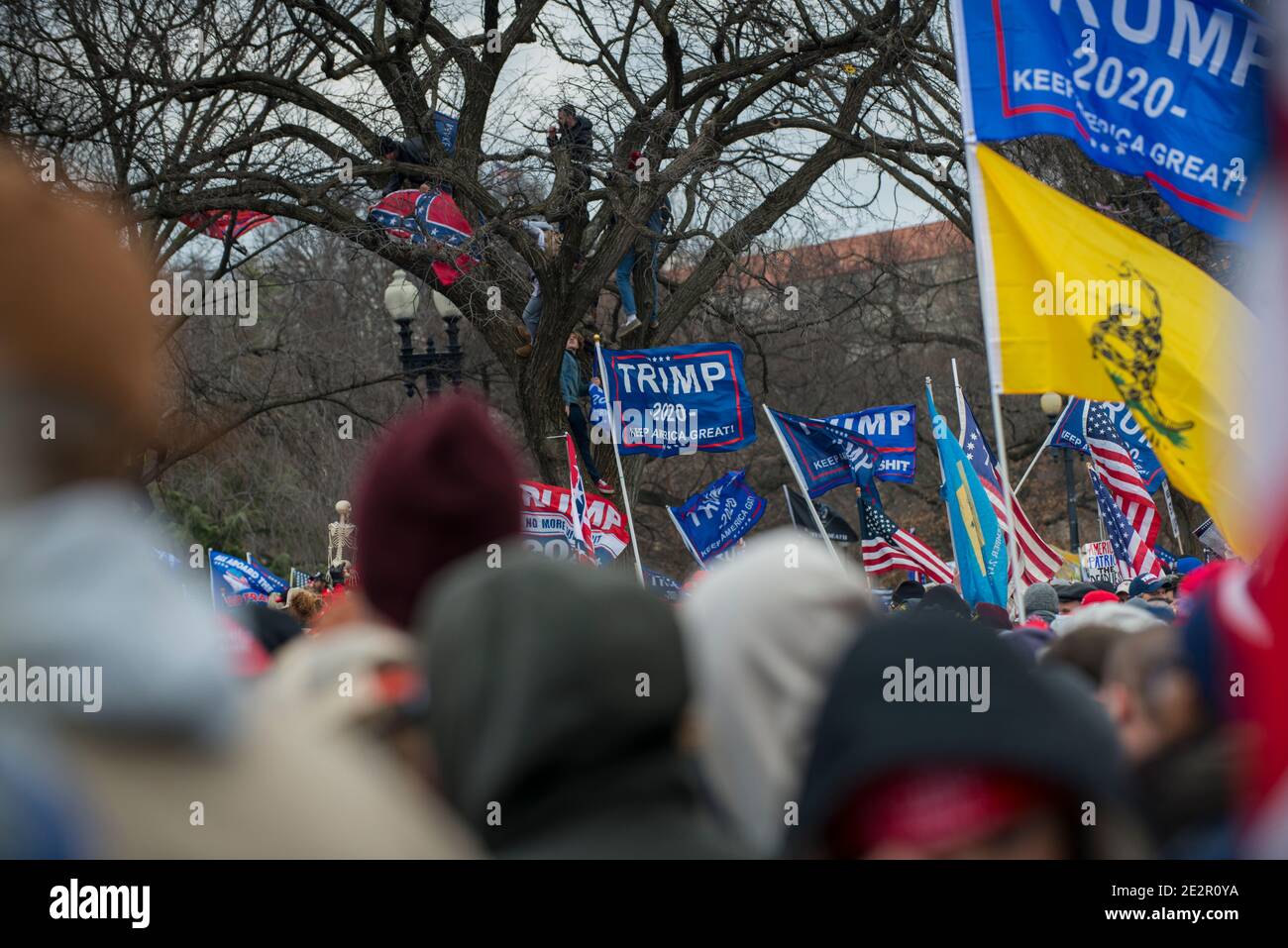 Save America Rally, wenige Minuten vor Beginn des Capitol-Protests. Washington DC USA Stockfoto