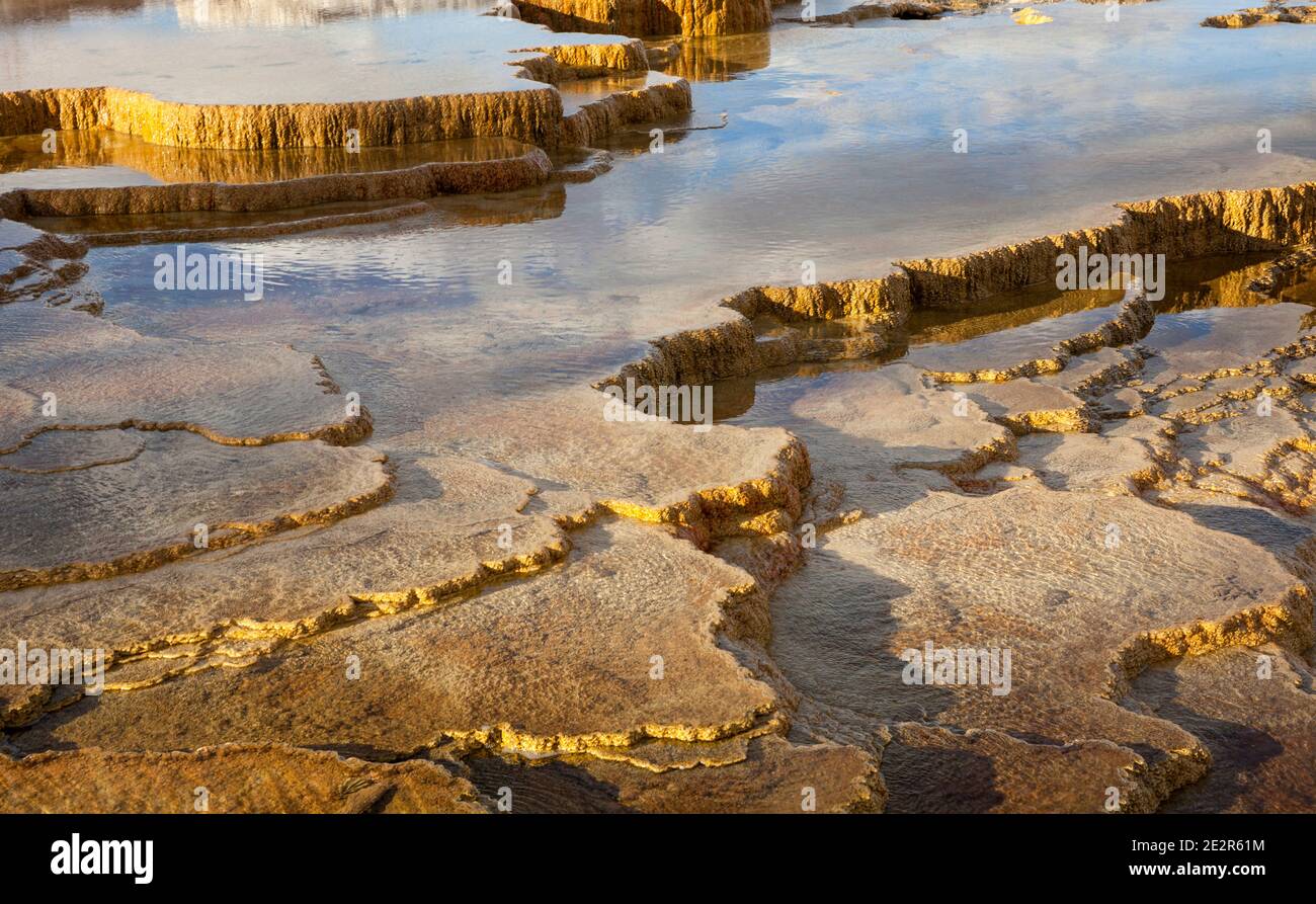 WY02855-00...WYOMING - untere Terrassen Bereich von Mammoth Hot Springs im Yellowstone Nationalpark. Stockfoto