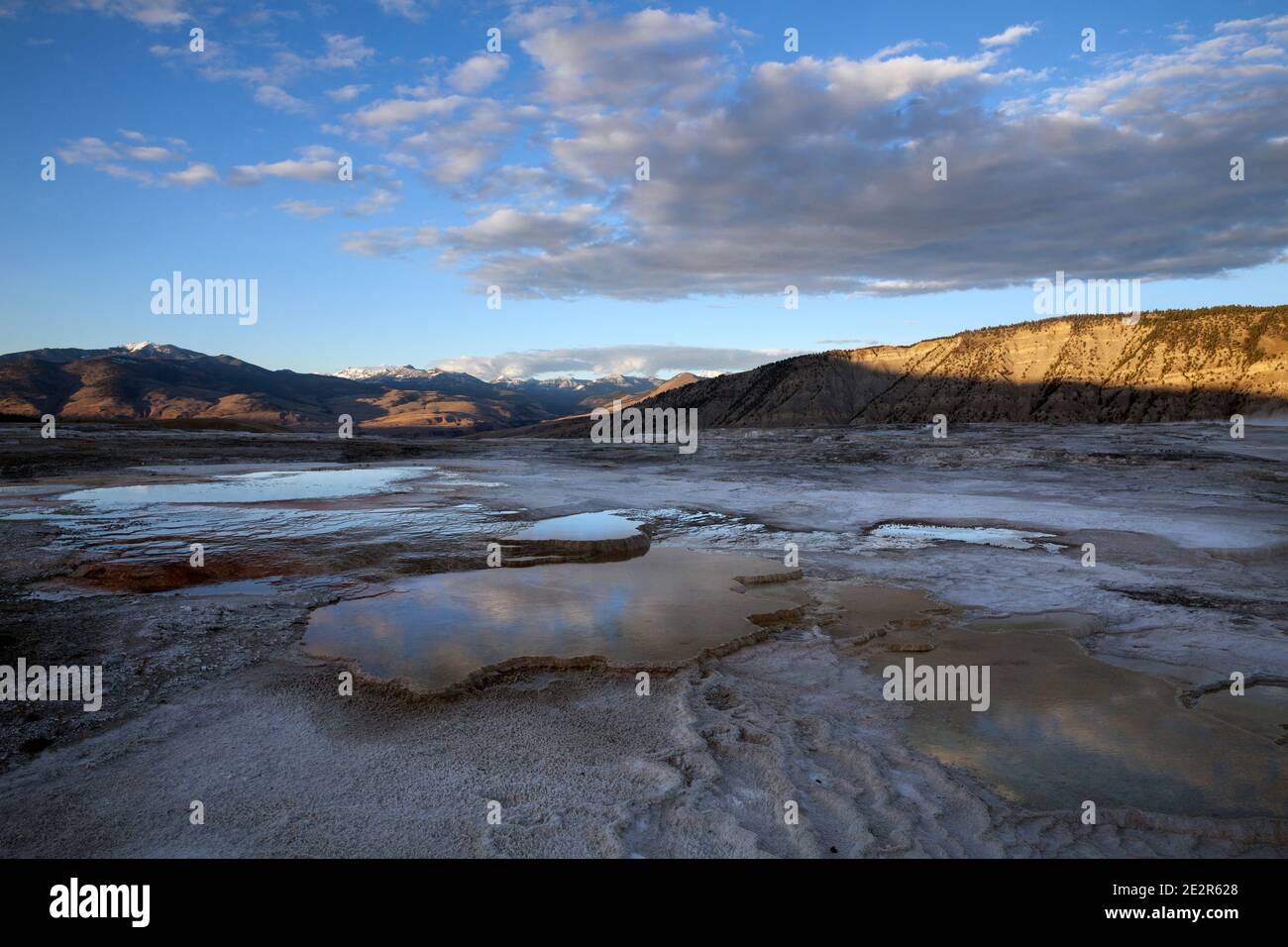 WY02856-00...WYOMING -Upper Terraces Area of Mammoth Hot Springs in Yellowstone National Park. Stockfoto