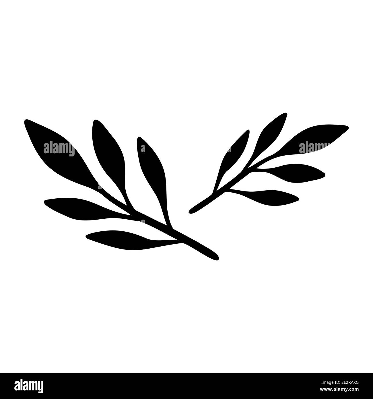 Schwarz auf weiß handgezeichneter Vektor Zweig mit Blättern. Einfache Illustration mit Blumenmuster. Botanische Farbkontur. Minimalismus Linie Kunst. Vektor-Illustration Stock Vektor Schwarz auf weiß handgezeichneter Vektor Zweig mit Blättern. Einfache Illustration mit Blumenmuster. Botanische Farbkontur. Minimalismus Linie Kunst. Vektor-Illustration Stock Vektor