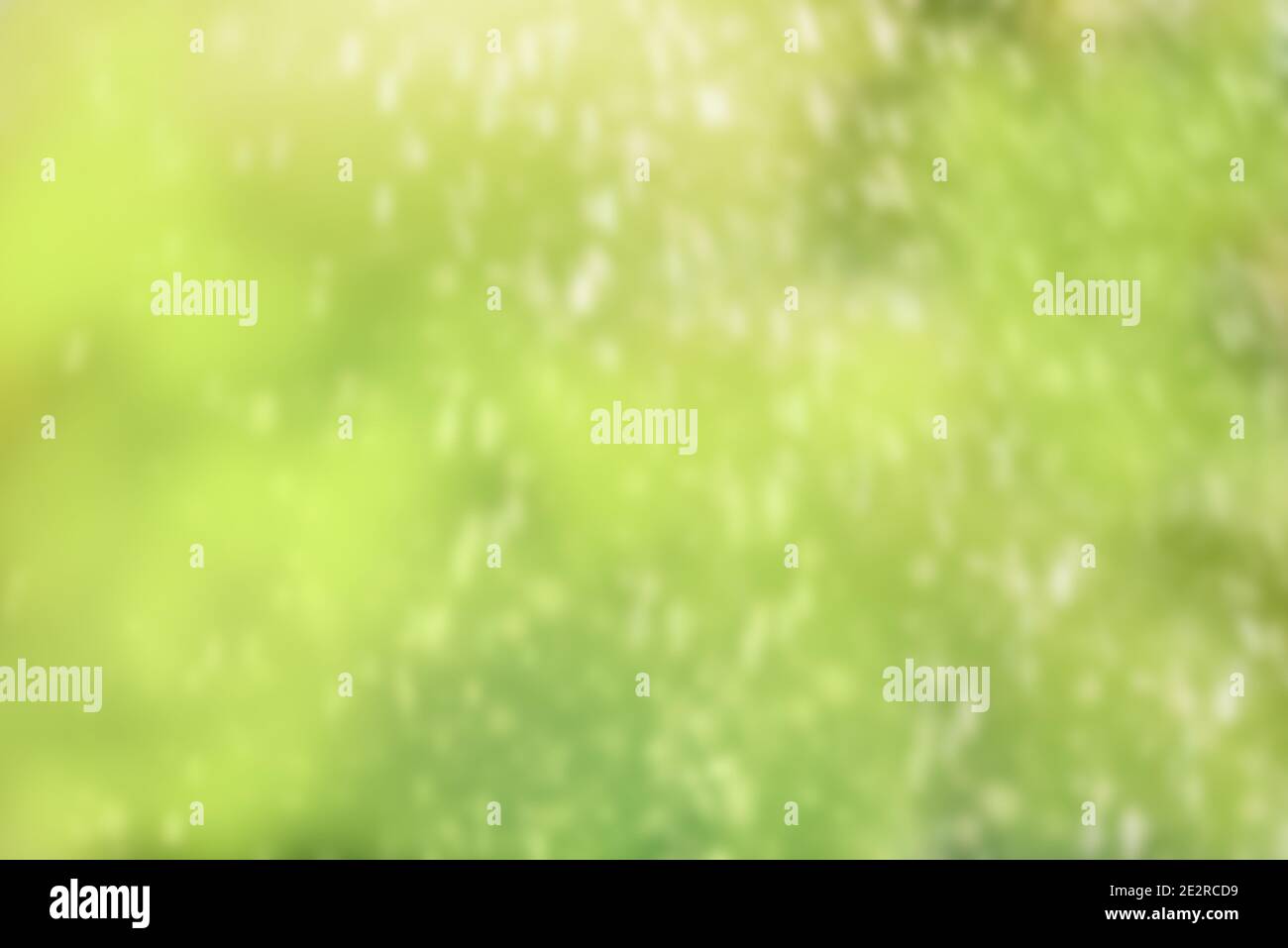 Frühlingshintergrund. Grüner Unschärfe Bokeh Hintergrund. Tau- oder Regentropfen. Designelement.Tropfen fliegenden Regens. Stockfoto