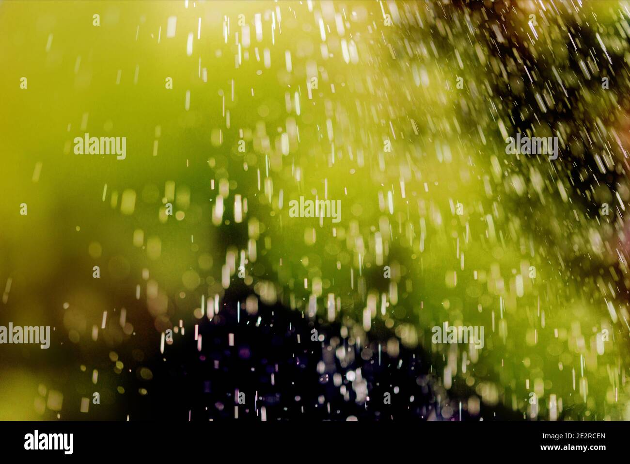 Kunst, abstrakter Frühlingshintergrund. Grüner Unschärfe Bokeh Hintergrund. Tropfen Tau oder Regen. Design Element.Tropfen fliegenden regen.Isolate auf schwarz. Stockfoto