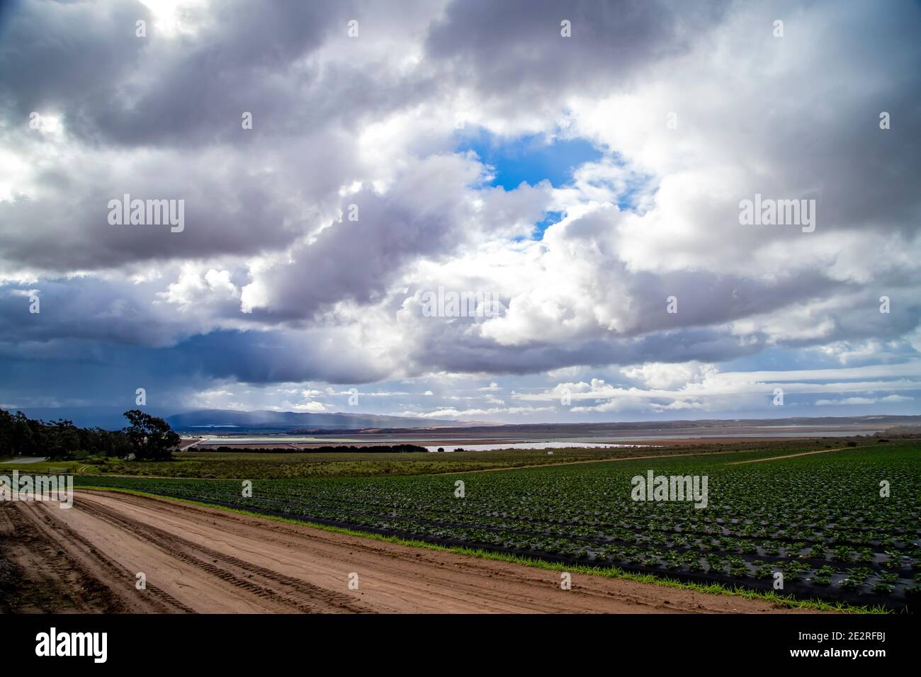 Ländliche Schotterstraße und Erdbeerfelder in der Landwirtschaft unter Sammeln Sturm in Central Coastal California Stockfoto