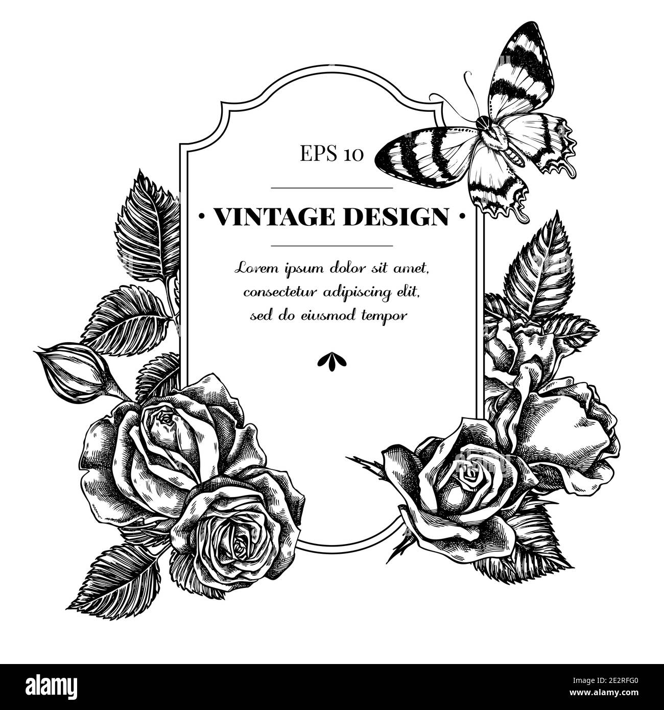 Badge-Design mit schwarz-weißen alcides agathyrsus, Rosen Stock Vektor