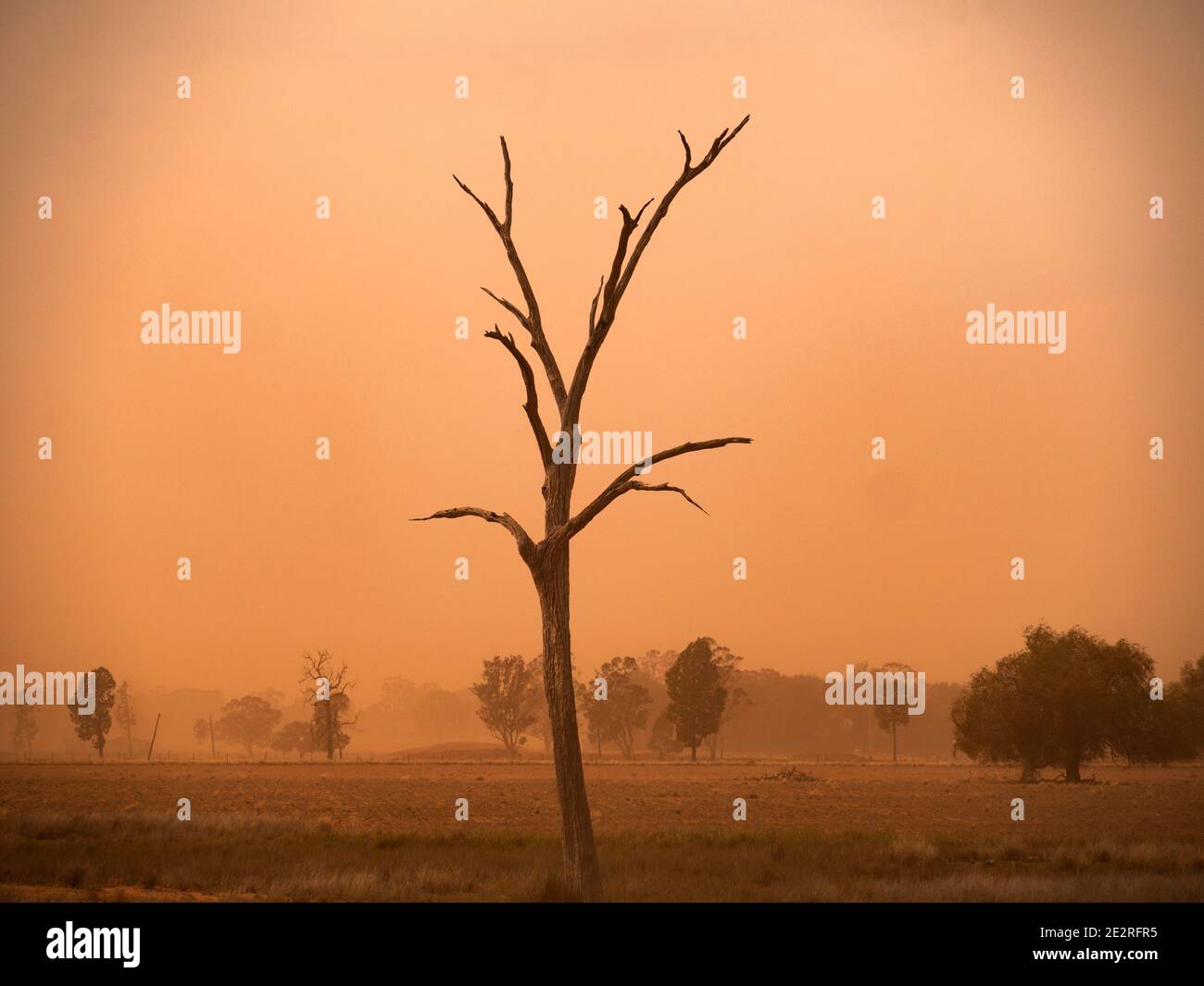 Staubsturm vom starken Wind in der Dürre striken Central West New South Wales, Australien. Stockfoto