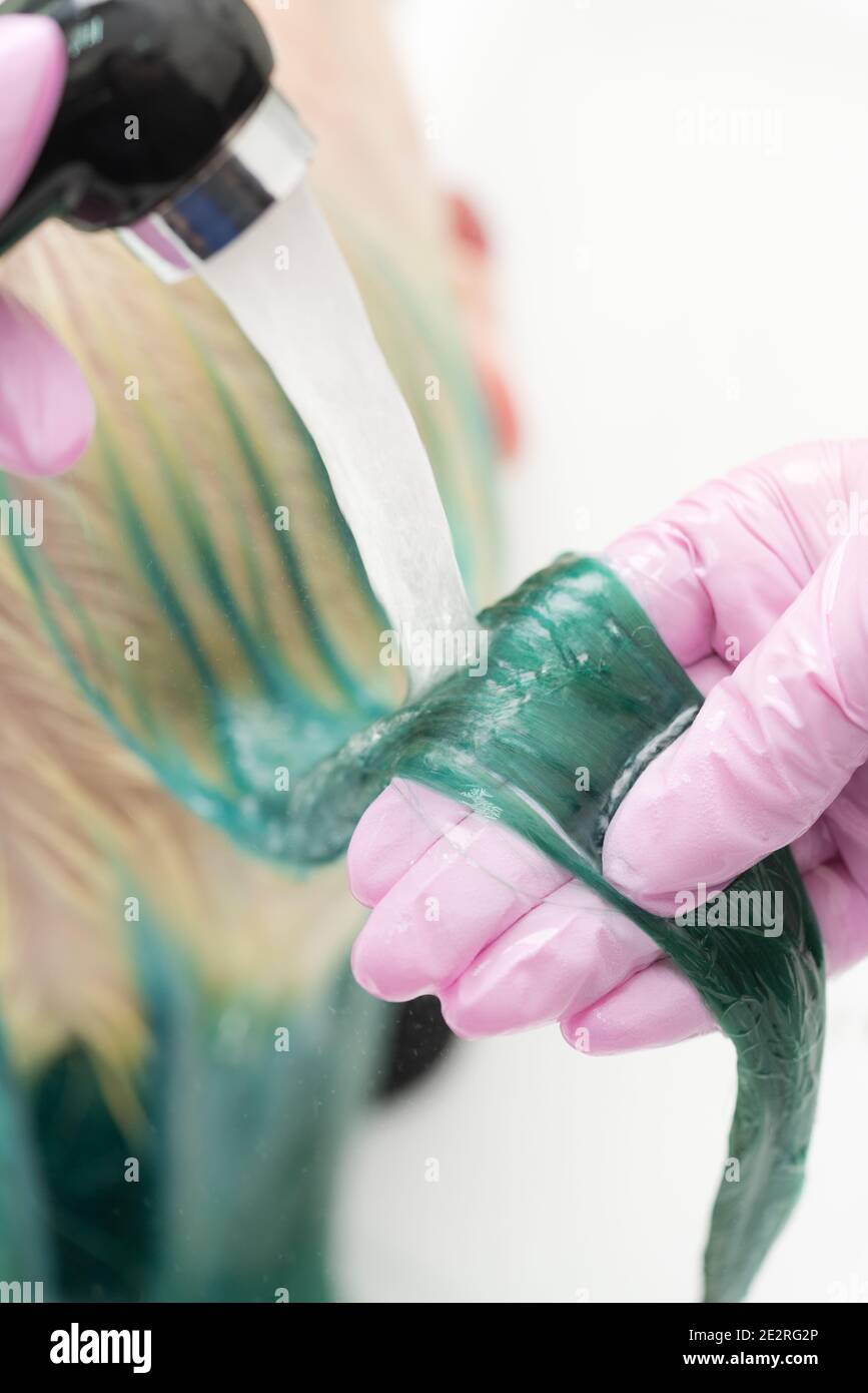 Der Friseur hält ein grünes Haar in der Hand, während er die Haare des Kunden in der Dusche im Waschbecken wäscht. Schönheitssalon, arbeiten professionelle Friseur Stockfoto
