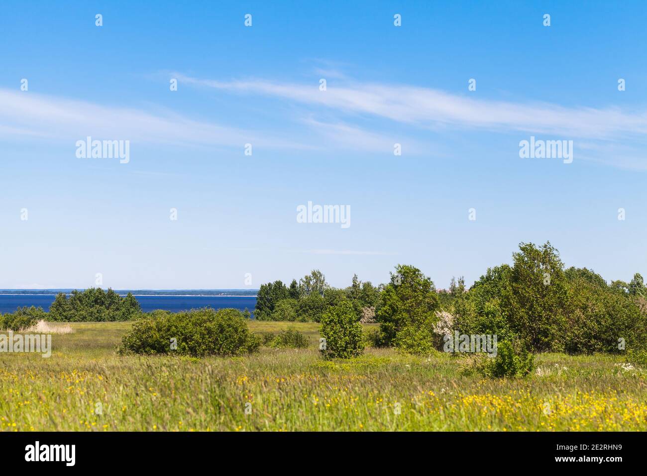 Ländliche Landschaft. Sommerfeld ist unter bewölktem Himmel an sonnigen Tagen, blaues Meer ist auf einem Hintergrund Stockfoto