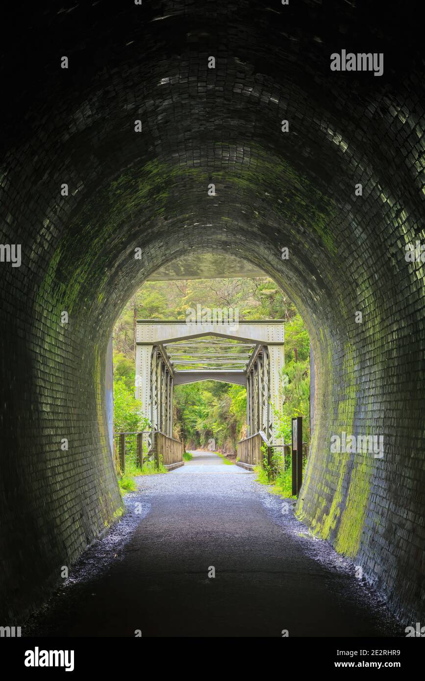 Der Blick von innen aus einem dunklen alten Backsteinbahntunnel, mit Blick auf eine Brücke und Wald. Karangahake Gorge, Neuseeland Stockfoto