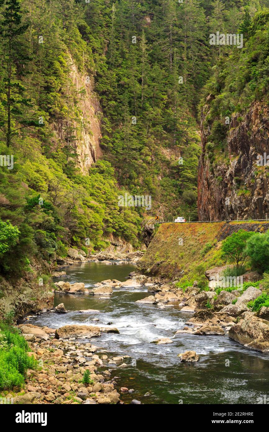 Die Karangahake Gorge, Neuseeland. Der Fluss Ohinemuri fließt am Fuße eines tiefen Tals. Auf der rechten Seite befindet sich der State Highway 2 Stockfoto