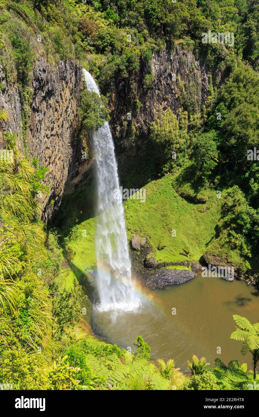 Bridal Veil Falls in der Waikato Region, Neuseeland, auch bekannt als Waireiga in Maori. Es stürzt 180 Meter über einer Klippe Stockfoto