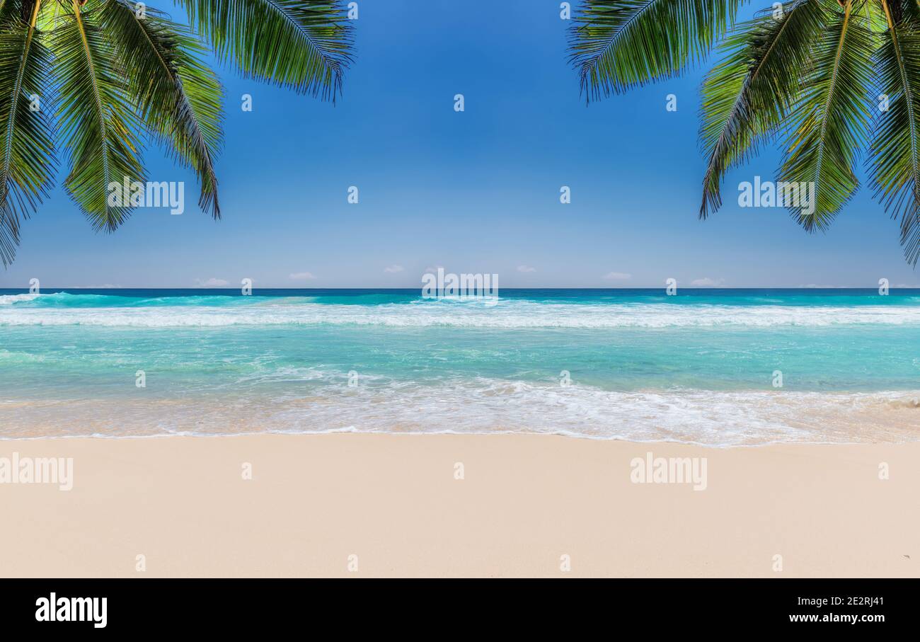 Tropischer Strand mit weißem Sand, tropischem Meer und Palmen. Stockfoto