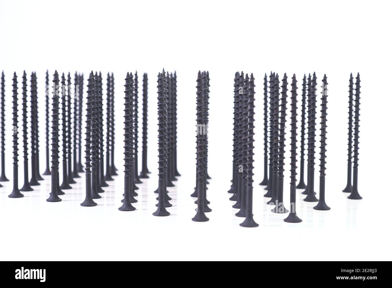 Selbstschneidende Schrauben für Holzoberflächen, stehend auf Hüten, auf hellem Hintergrund. Komponenten für Konstruktion und Reparatur. Metallbefestigungen. Stockfoto