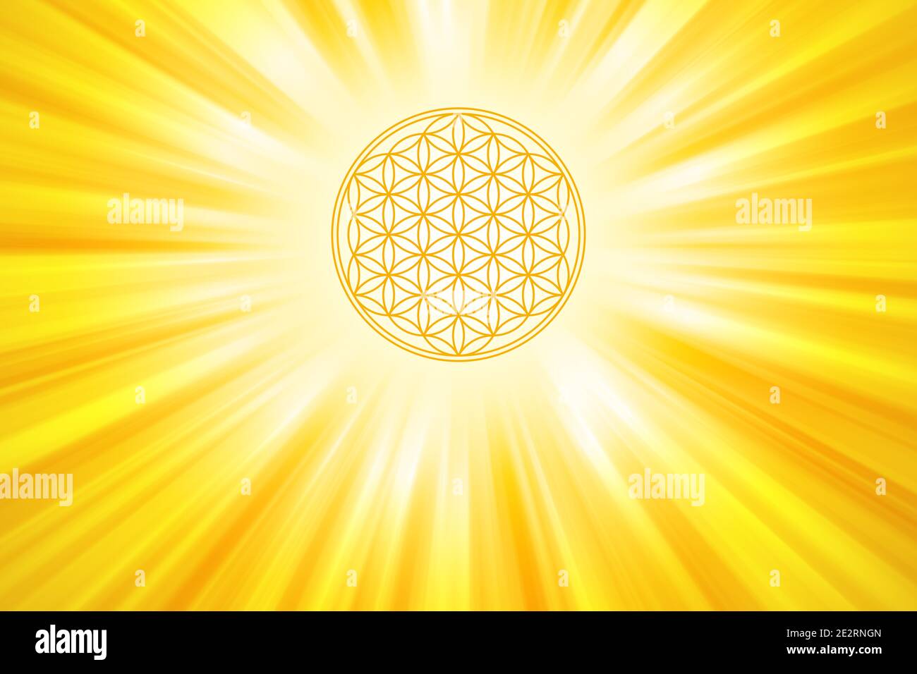 Goldene Blume des Lebens mit Sonnenstrahlen Hintergrund. Geometrische Figur aus mehreren überlappenden Kreisen, die ein Blumenmuster bilden. Ein starkes Symbol. Stockfoto