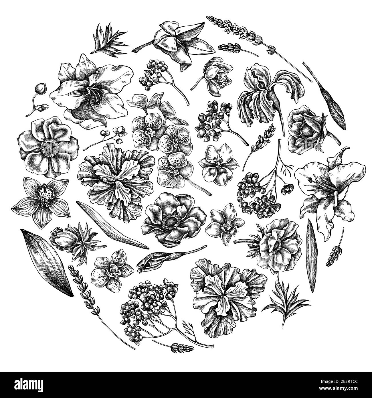 Rundes florales Design mit schwarzer und weißer Anemone, Lavendel, Rosmarin Everlasting, Phalaenopsis, Lilie, Iris Stock Vektor