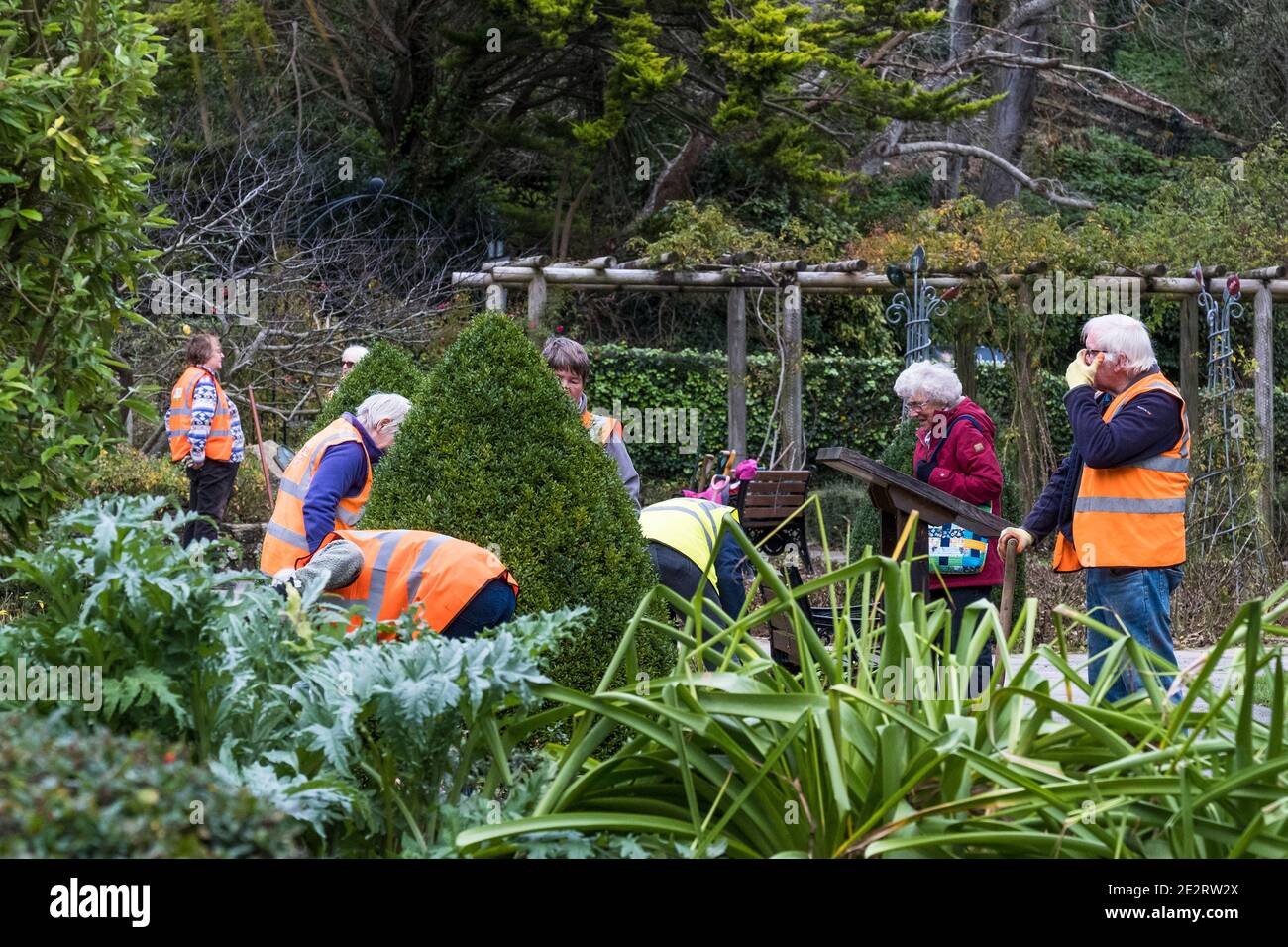 Mitglieder der Newquay in Bloom Partnerschaft Arbeiten in Trenance Garden in Newquay in Cornwall. Stockfoto