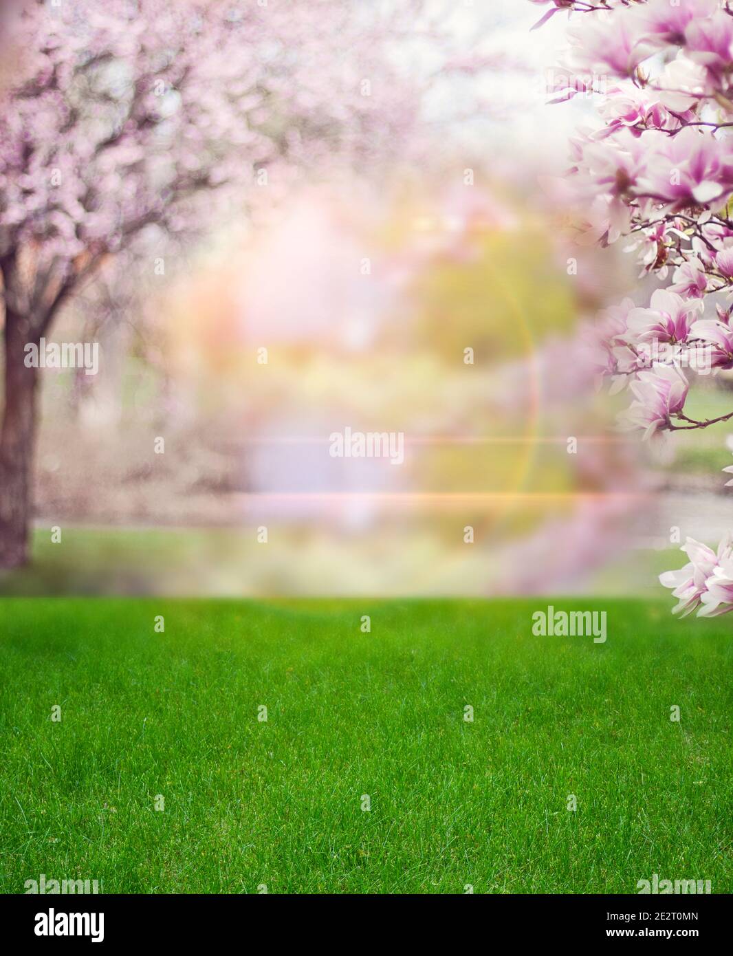 Heller sonniger Tag im frühlingsblühenden Garten. Die Sonnenstrahlen beleuchten grünes Gras und Bäume. Stockfoto