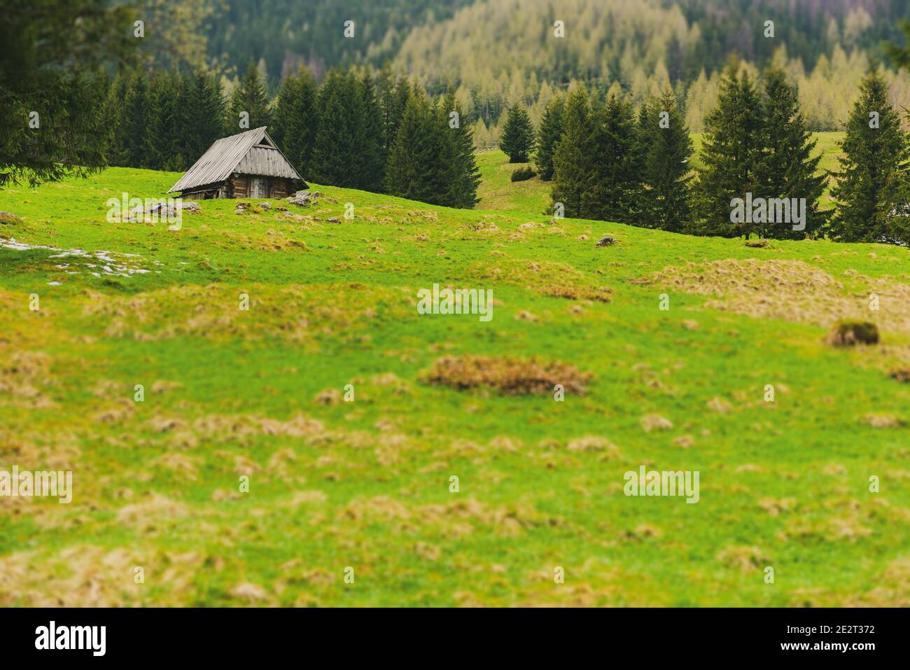 Shepherd's Hütte Unterstand auf Wiese. Highlander Holzhütte in Zakopane