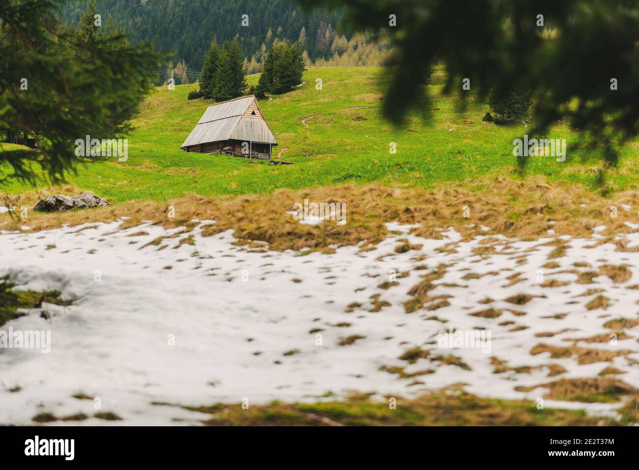 Shepherd's Hütte Unterstand auf Wiese. Highlander Holzhütte in Zakopane