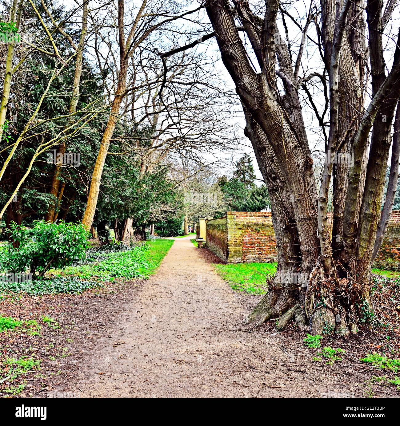Fußweg im Park mit Mauer Stockfoto
