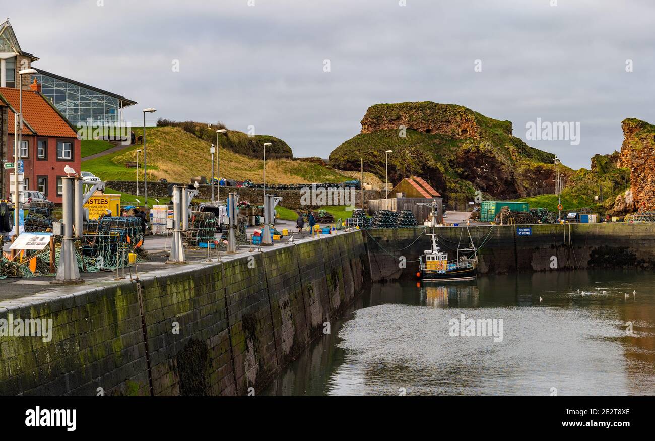 Dunbar Harbour, East Lothian, Schottland, Großbritannien, 15th. Januar 2021. Fischerei: Victoria Harbour, der Haupthafen der Stadt, ist mit einem einsamen Fischerboot leer Stockfoto