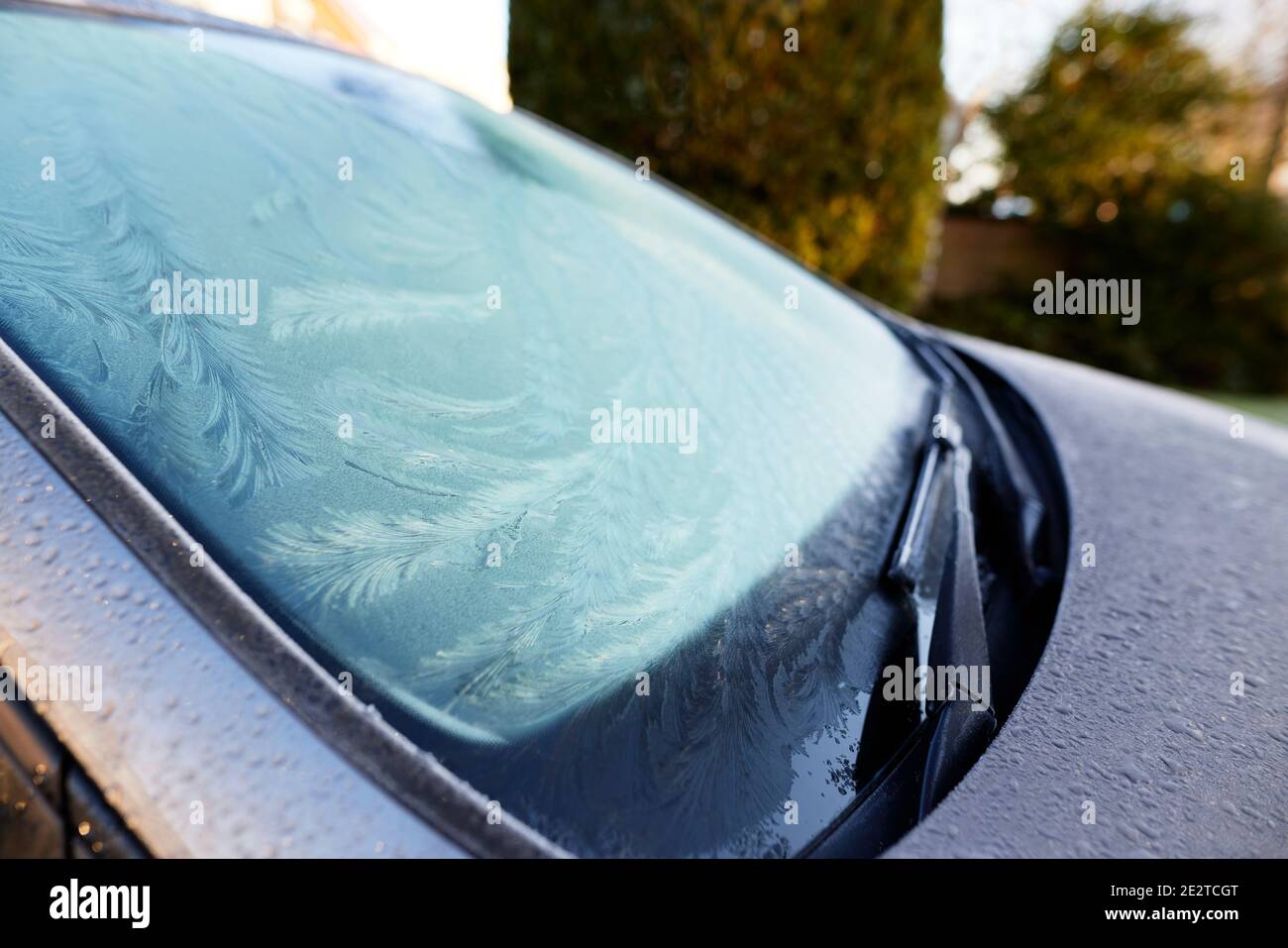 Autoscheibe gefroren Stockfoto