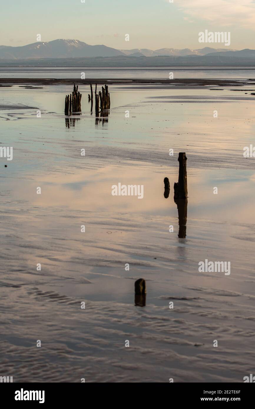 Alte Stakenets auf dem Solway. RSPB Reserve, Dumfries und Galloway Stockfoto