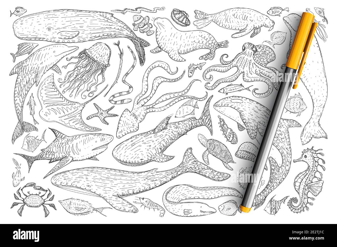 Unterwasserwelt Tiere Doodle Set. Sammlung von handgezeichneten Delphinen, Krabben, Kraken, Seehund, Fische, Quallen, Seesterne Seepferdchen isoliert auf transparentem Hintergrund. Illustration der Meereswelt Stock Vektor