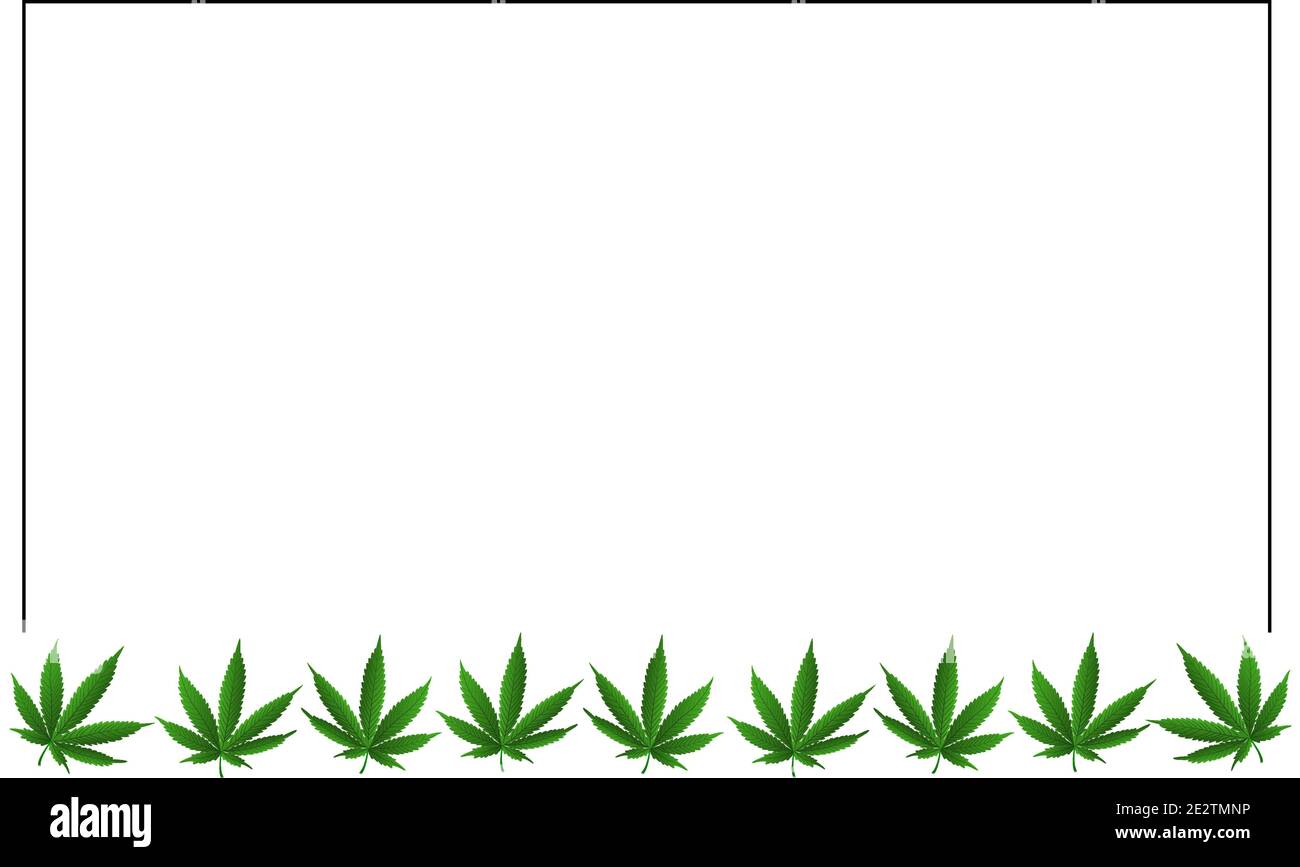 Blank für Designer mit Kopie Gewürz mit Marihuana-Blättern auf weißem Hintergrund. Vektorgrafik. Stock Vektor