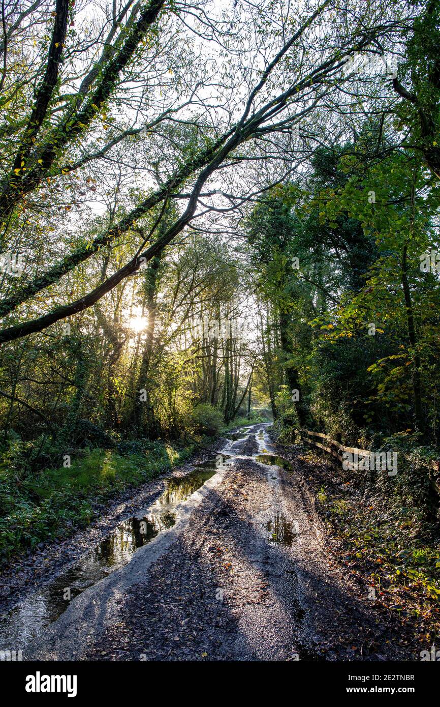 Wasserbefahrter Weg nach starkem Regen in Cheshire UK Stockfoto