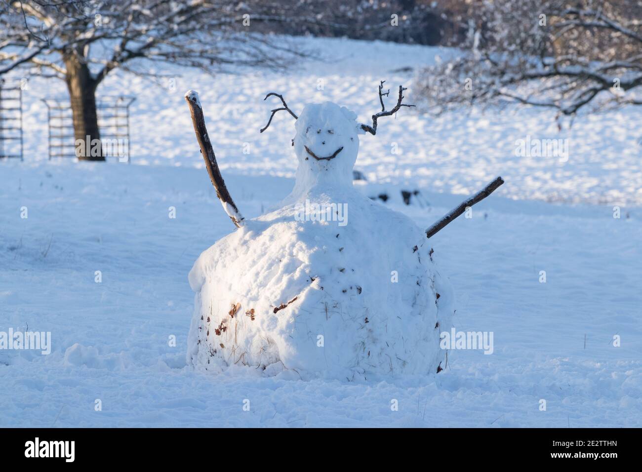 Schneemann im Studley Royal Deer Park, North Yorkshire Stockfoto