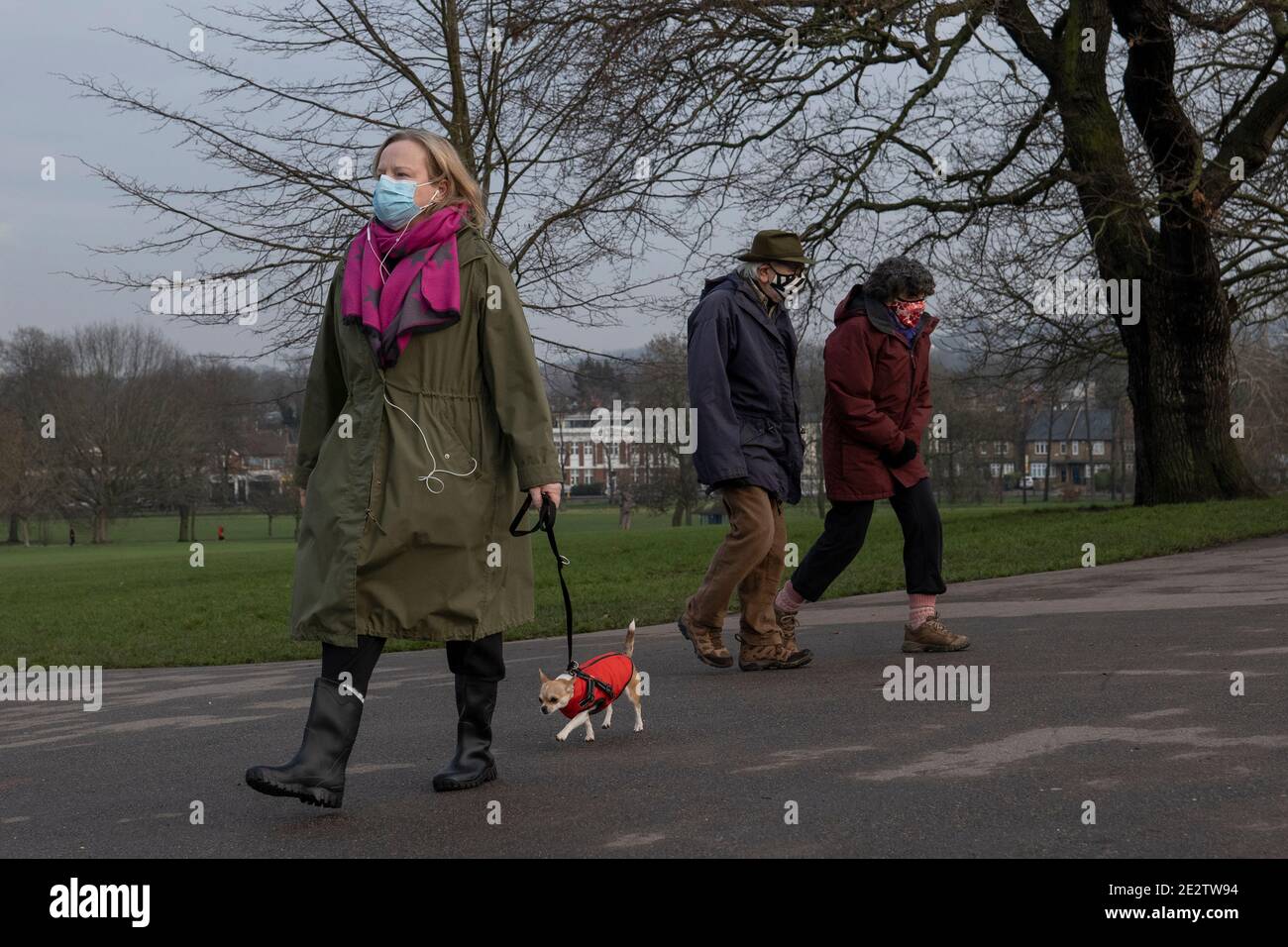 London, England. Januar 2021. Eine Frau mit blauer Schutzmaske und rosa Schal geht mit einem kleinen Hund, der einen roten Körperwärmer im Brockwell Park in South London trägt, zu Fuß. (Foto von Sam Mellish / Alamy Live News) Stockfoto
