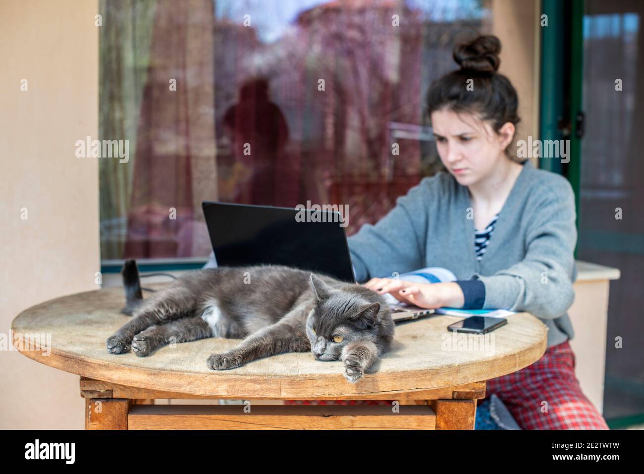 Ein Mädchen arbeitet auf einem Laptop, während die Katze ruht Stockfoto
