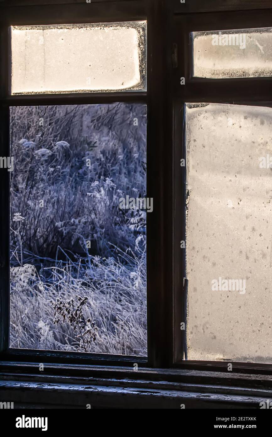 Ein Bild von trockenem Wintergras hinter dem zertrümmerten frostigen Fenster eines verlassenen Hauses. Das Konzept einer Vergangenheit stoppte Leben, Verwüstung und Elend Stockfoto