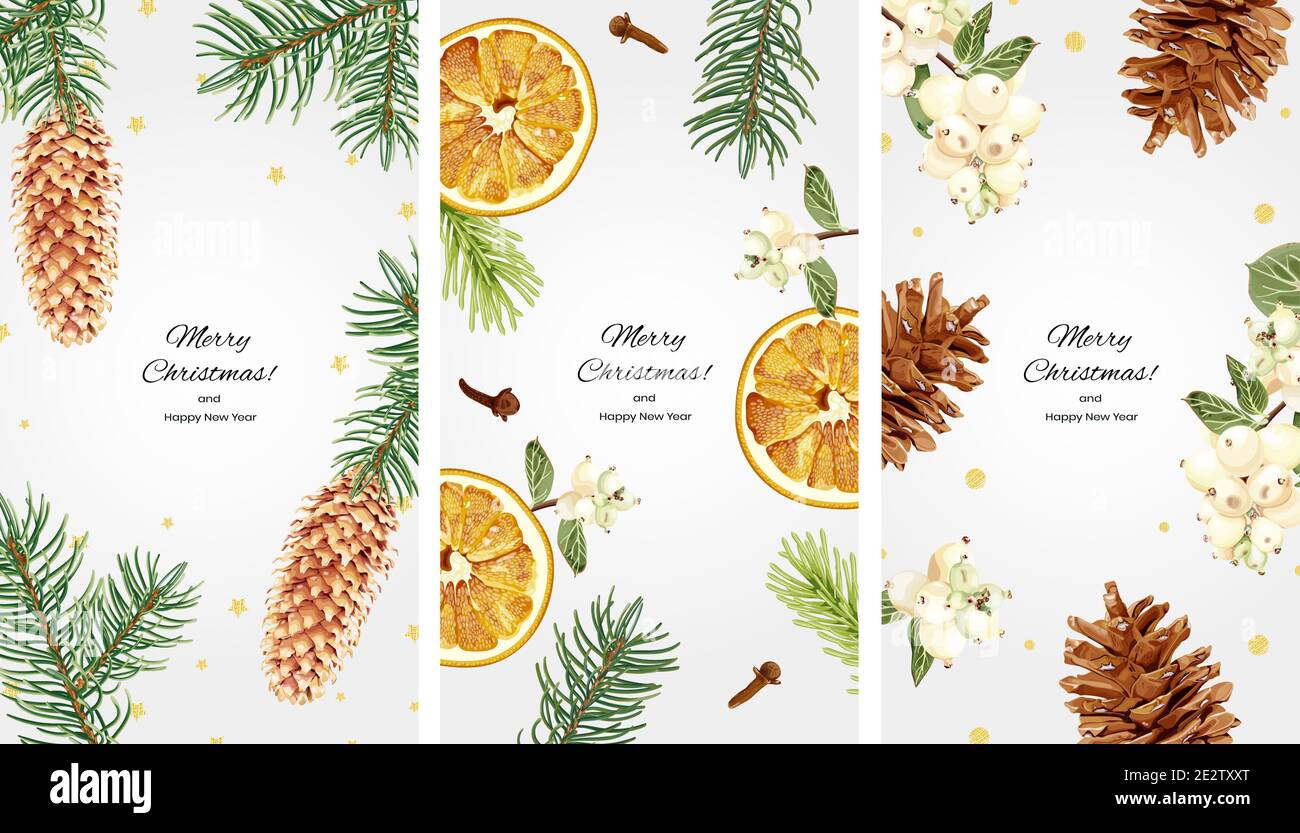 Sammlung von vertikalen Weihnachtshintergründen für soziale Netzwerke mit Platz für Text. Fichtenzweige, Zapfen, Schneebeere, getrocknete Orangen, Nelken und Gol Stock Vektor