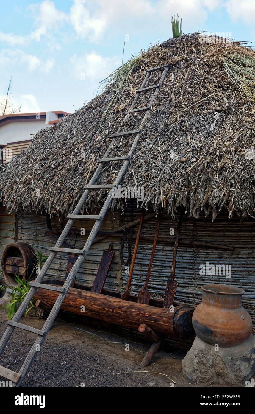 Reetdachhütte, Holzleiter, rostige Geräte, ausgehöhlter Baumstamm, primitiv, Museo de Sitio Intinan; Südamerika; Quito; Ecuador Stockfoto