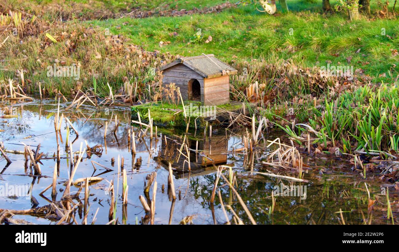 Hausgemachten teich Fotos und Bildmaterial in hoher Auflösung Alamy