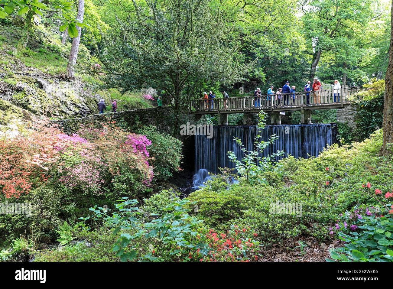 Menschen auf der Wasserfallbrücke, Bodnant Gardens, Spring, (Mai), Tal-y-Cafn, Conwy, Wales, Großbritannien Stockfoto