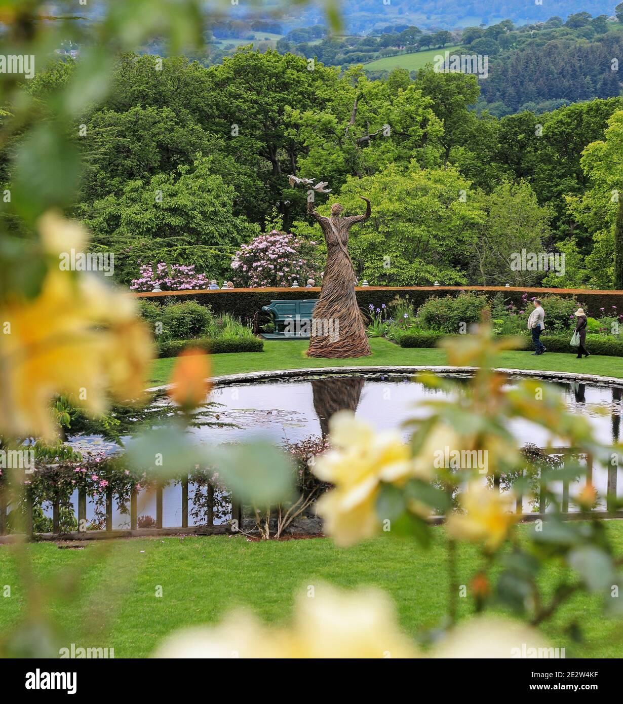 Eine Weidenskulptur, ‘Unbind the Wing’, eine Feier des Frauenwahlrechts, auf der Lily Terrace, Bodnant Gardens, Spring, (Mai), Conwy, Wales Stockfoto