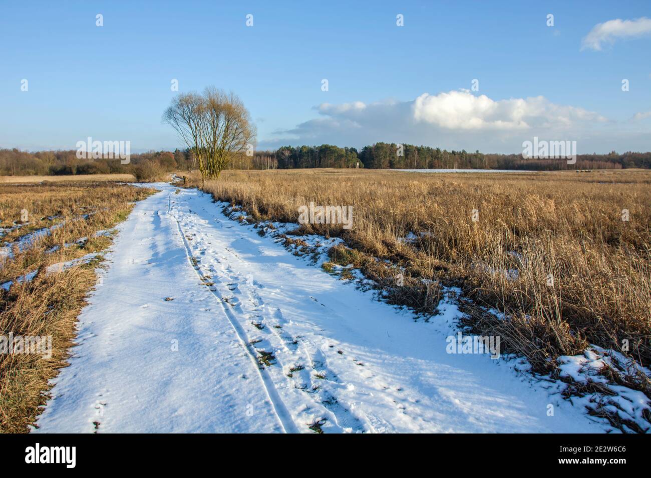 Schneebedeckte Straße durch Wiesen, Bäume und blauen Himmel, Winterblick Stockfoto
