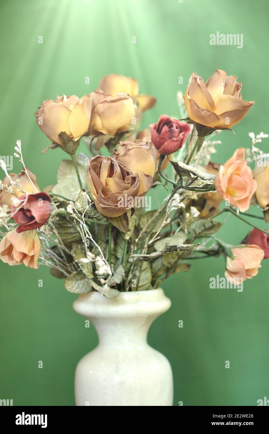 Eine Blume weiße Vase mit einem Bouquet von Herbst braun gefärbte künstliche Rosen auf grünem Hintergrund mit Vintage-Ton. Stockfoto