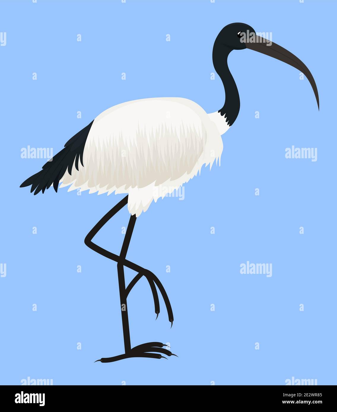 Cartoon Vektor-Symbol von Ibis isoliert auf blau. Heiliges Vogel Ägyptens, mit langen Beinen und schmalem Schnabel. Tropische afrikanische Fauna Stock Vektor